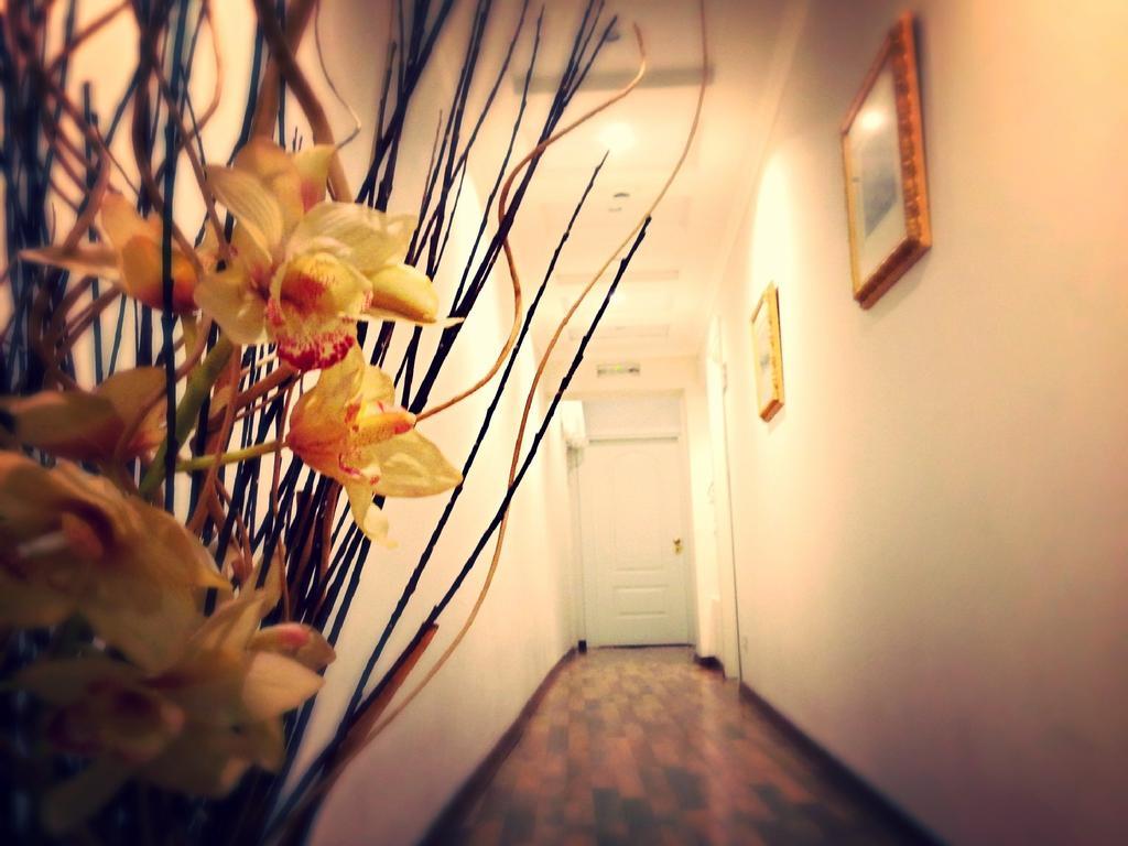 Residenza Domiziano Bed & Breakfast Рим Екстериор снимка